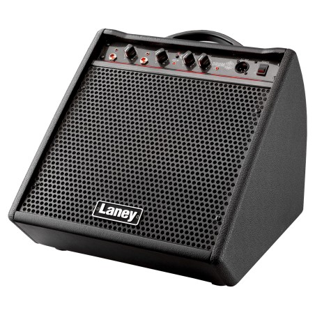 Laney DH80