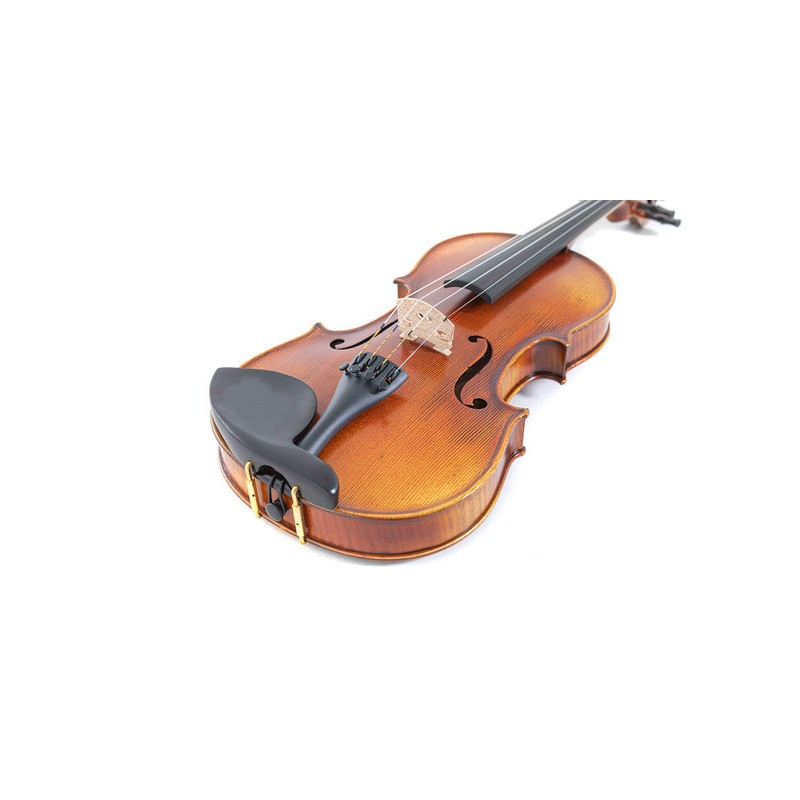 Gewa Maestro 2-VL4 4/4 corps