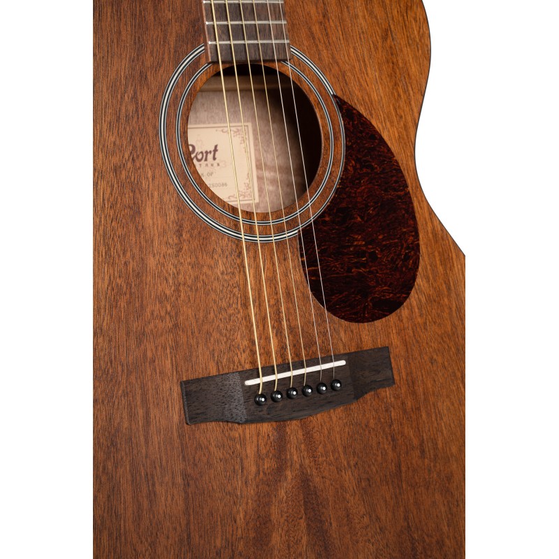 Cort Luce L60M corps