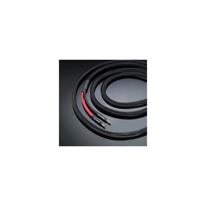 Real Cable Cheverny SP 3M