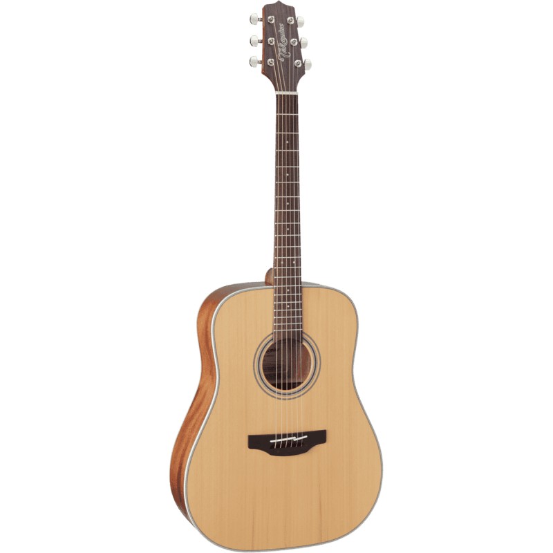 Takamine GD20NS