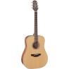 Takamine GD20NS