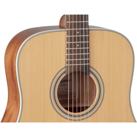 Takamine GD20NS