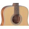 Takamine GD20NS