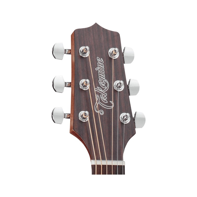 Takamine GD20NS tête