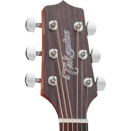 Takamine GD20NS tête