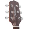 Takamine GD20NS tête