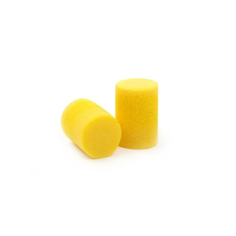 Planet Waves Ear Plugs EP-100