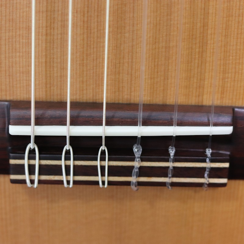 JM Forest Student 4/4