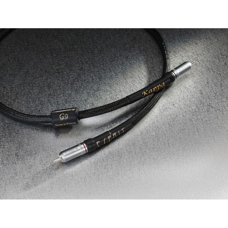 Esprit Kappa Digital SPDIF 1m