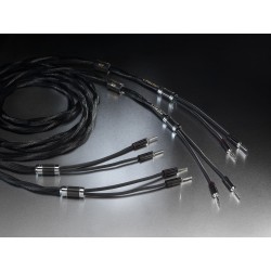 Esprit Celesta Hp 3m