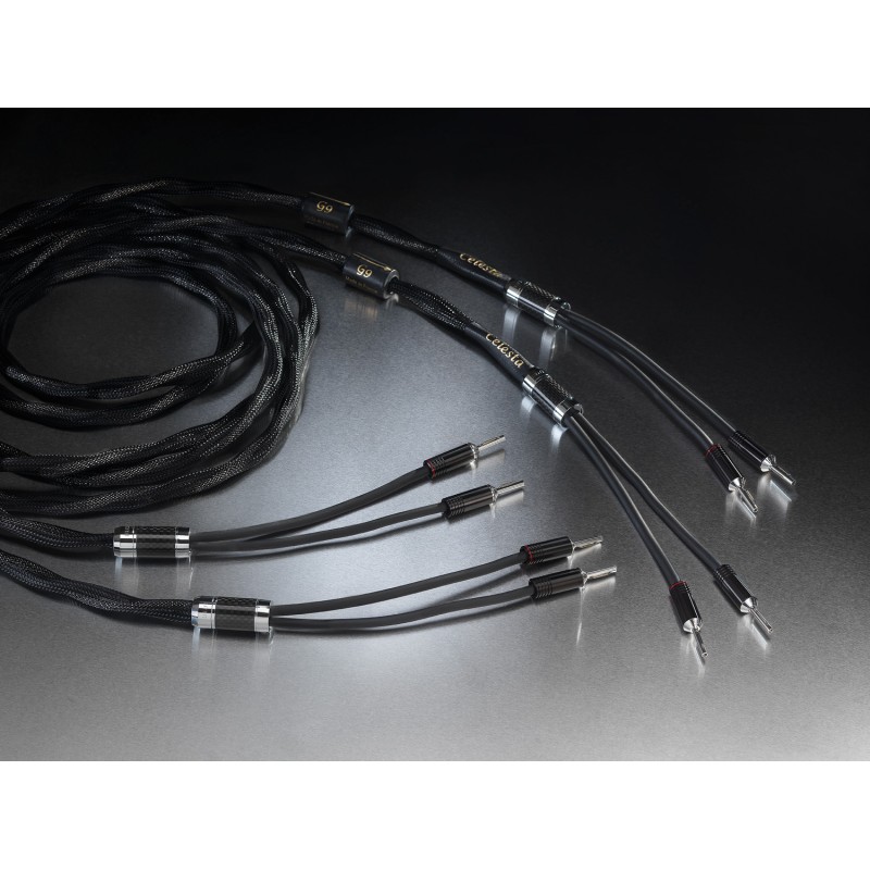 Esprit Celesta Hp 3m