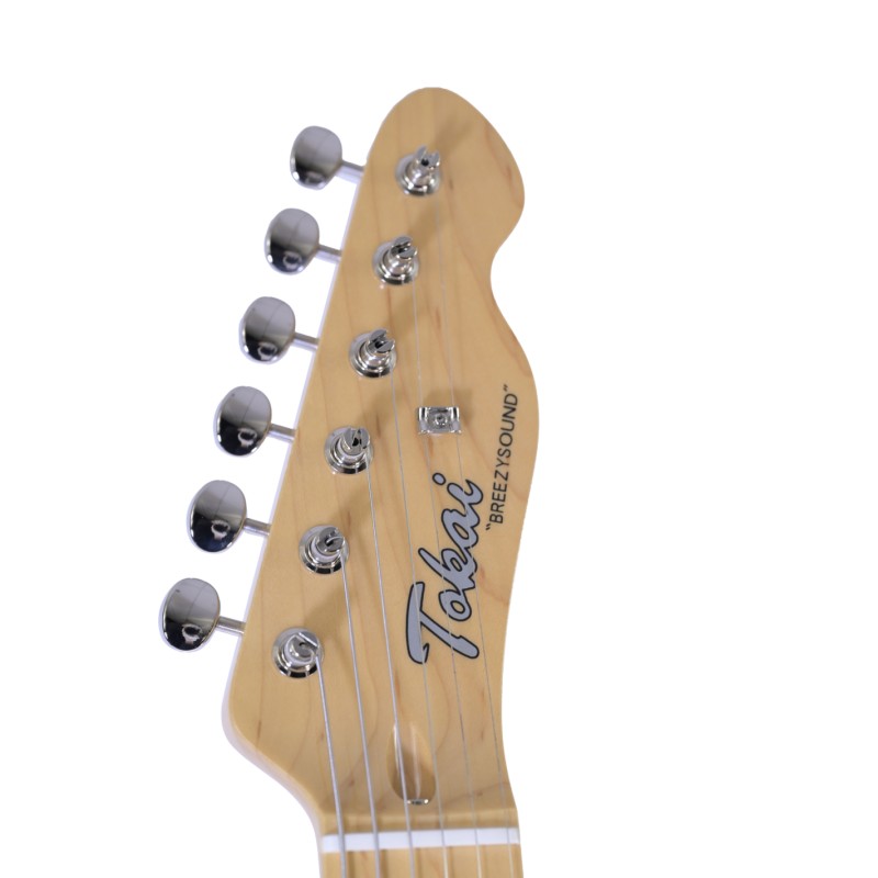 Tokai ATE-102 See Through Purple