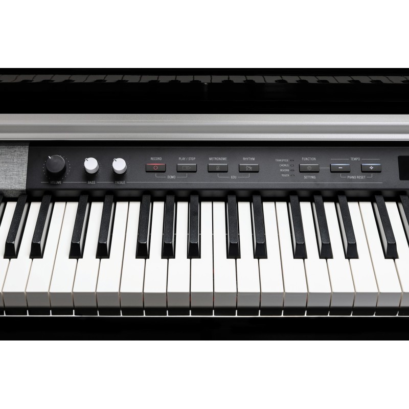 Kurzweil Cup-P1 noir