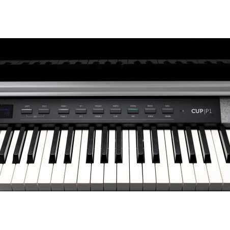 Kurzweil Cup-P1 noir