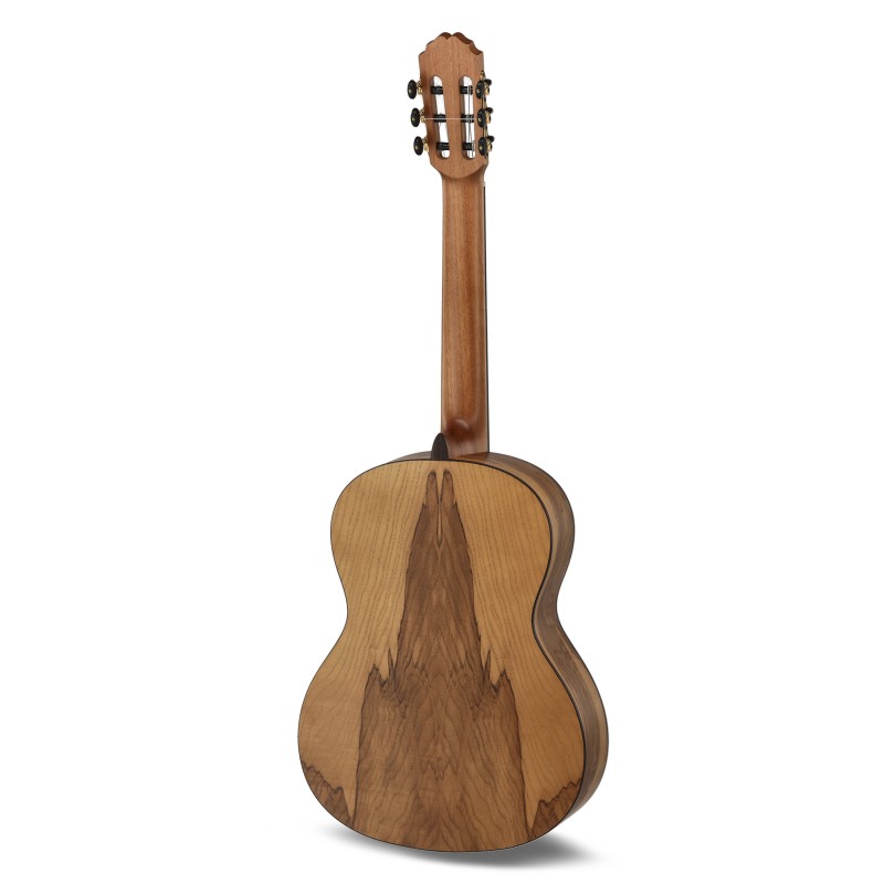 Caballero Principio Olive modèle 120 ans