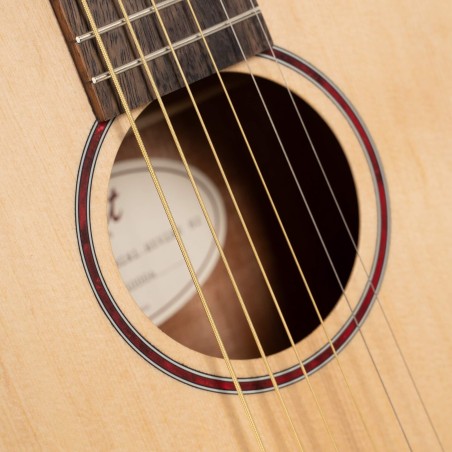 Cort Earth Go HyVibe