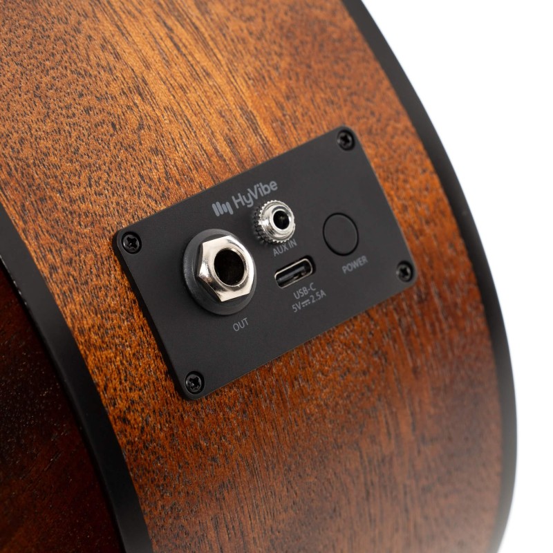 Cort Earth Go HyVibe