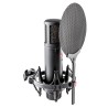 sE Electronics SE2200