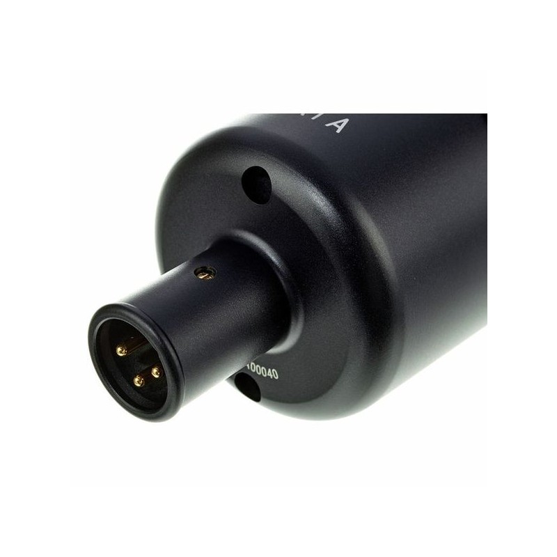 sE Electronics X1 A