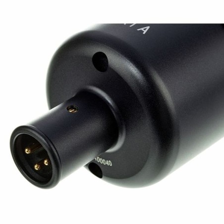 sE Electronics X1 A
