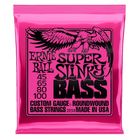 Ernie Ball 2834