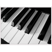 Claviers / Pianos